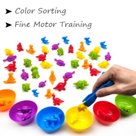 Montessori Rainbow Counting/Sorting Set – Learn Through Play! - Picture 2 of 2